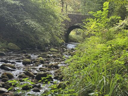 Fotografija s spletne strani Adnan Cemal na poti