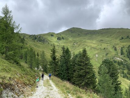 Photo de Koen De Wit le long du parcours