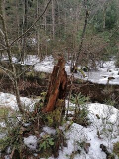 Fotografia z Dagmar Hofer na trase