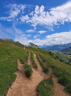 Foto von Sabine Bleiker entlang der Tour