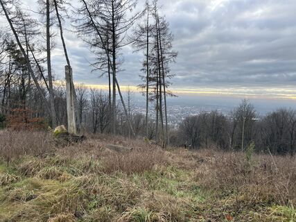Zdjęcie z Rolf Tiemeyer wzdłuż trasy
