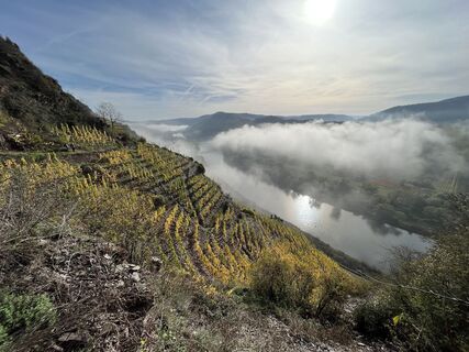 Fotografia z Andreas Stopperich na trase