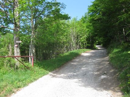 Aufstieg zur Gschwend Hütte