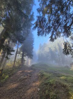 Photo de Markus Christen le long du parcours