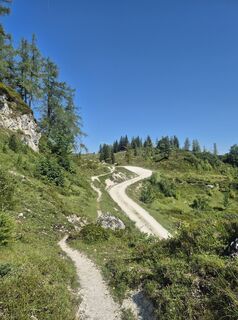 Foto de Steffen Kollmann a lo largo del recorrido