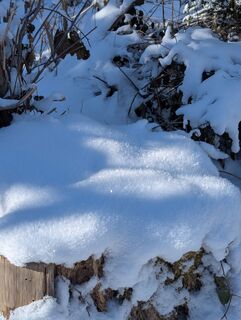 Fotografia z H&M na trase