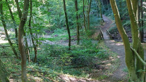 Photo from bergwolfi along the tour