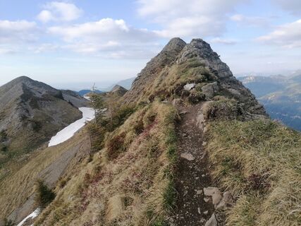 Fotografija s spletne strani luyyy na poti