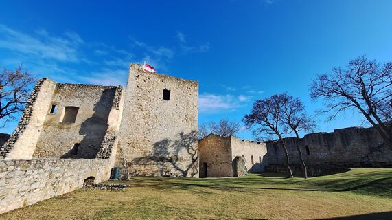 Foto von Regina Fleischmann entlang der Tour