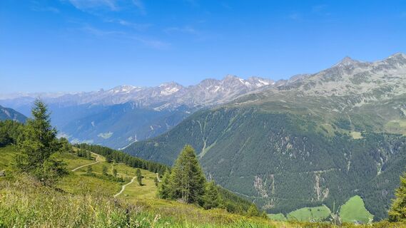 Photo de walrei le long du parcours