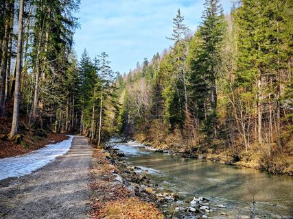 Foto von Michi Steiert entlang der Tour