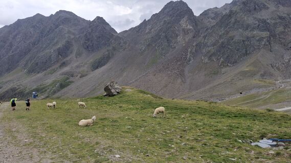 Foto von RockyPocky entlang der Tour