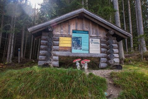 Startpunkt Schwammerlweg bei der Gipfelbahn Hochwurzen