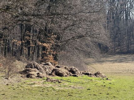 Foto von Hermann Czerweny entlang der Tour