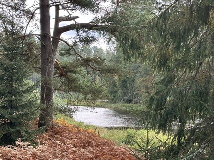 Fotó a Norbert Herbig honlapról a túra során