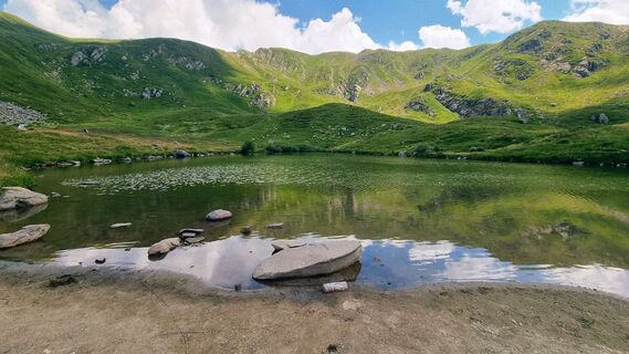 Fotografija s spletne strani Silvia Pontecorvi na poti