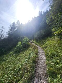 Fotografia z Gudi kowa na trase