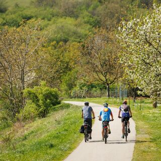 Radfahrer am B32 Rosaliaradwanderweg