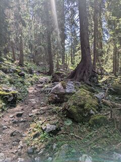 Foto von Sarah Wellhöner entlang der Tour