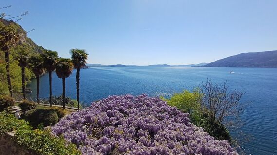 Fotografie z Volker Stähle na trase