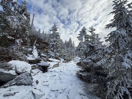 Fotografia z Natur_erleben_dg na trase