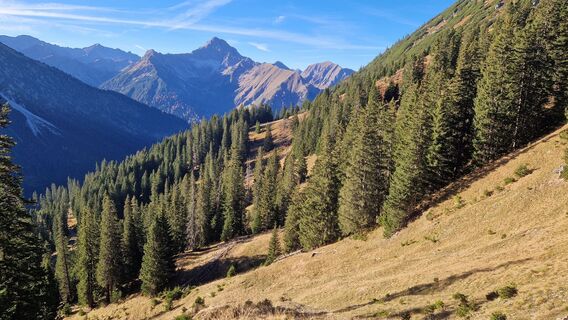 Blick vom Aufstiegsweg Richtung Namloser Wetterspitze
