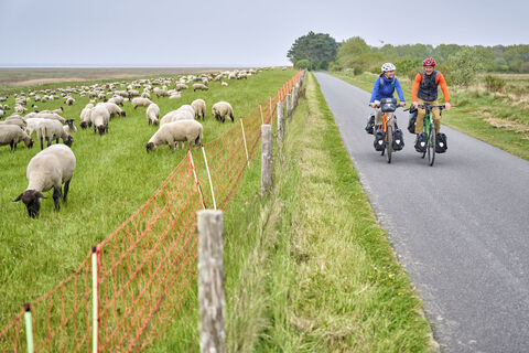 Radweg direkt am Wattenmeer zwischen Duhnen und Sahlenburg