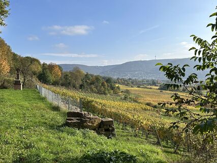Fotografija s spletne strani Norbert Herbig na poti