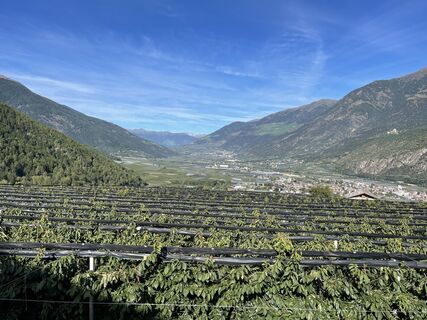 Foto von Lars Spristersbach entlang der Tour