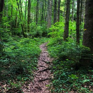 Weg der Jungfrau von der Combe