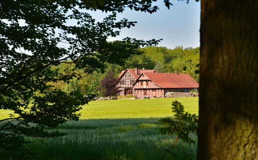 TERRA.track Ruller Bruch