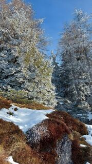 Foto från Josef Mikl under resans gång