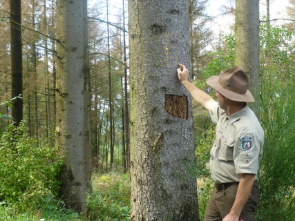 Ranger Matthias am Haubergspfad