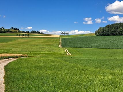 Photo de Bellou le long du parcours