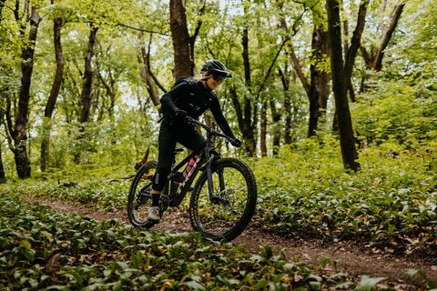 Sauberg Trail