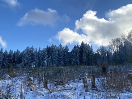Fotografia z Arthur Muskalla na trase