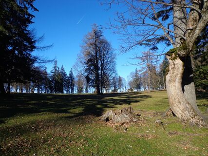 Hinteralm