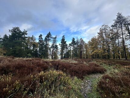 Zdjęcie z Sara B wzdłuż trasy