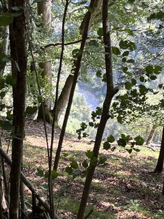 Fotografia z Andreas Stopperich na trase