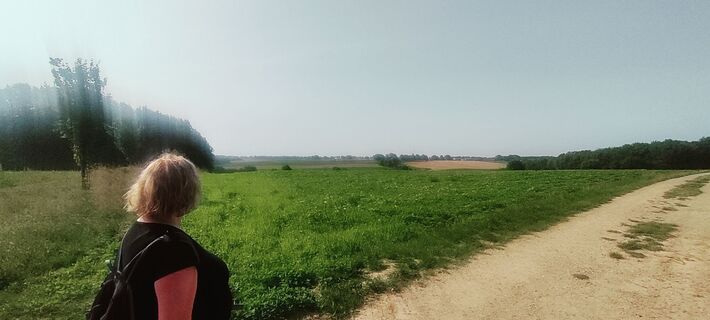 Fotografie z Niek Werf na trase