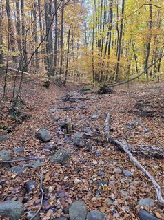 Foto von János Zsolt Mahr entlang der Tour