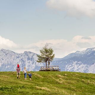 Schwarzeck Gipfel Salzburger Saalachtal