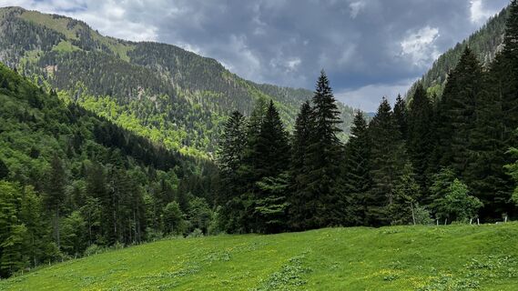 Foto von Petra Triesch entlang der Tour