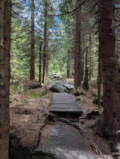 Photo de David Krejčí 1 le long du parcours