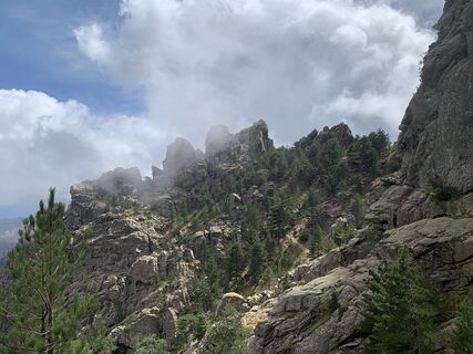 Foto von Jako Koel entlang der Tour