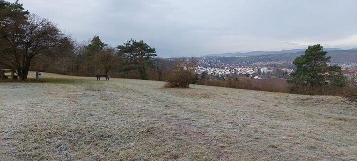 Blick vom Besigheimer Hörnle