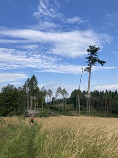 Foto de Reinhard Gugler a lo largo del recorrido
