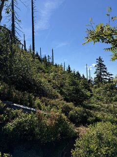 Fotografia z Bernd Baumgärtel na trase