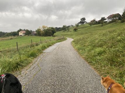 Photo de Tyler Lewis le long du parcours