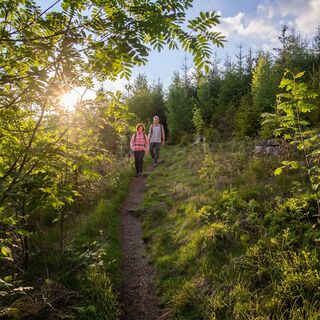 Wandern auf dem Eselspfad